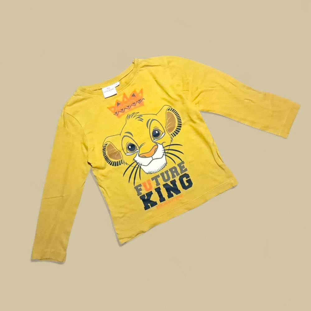 Photo Tee-shirt manche longue