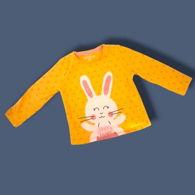 Tee-shirt manche longue Fille, age 18 mois , marque IN EXTENSO 